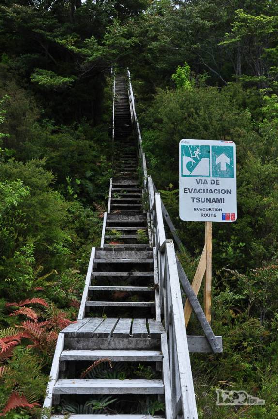 Em caso de tsunami, sempre é bom ir para cima! (em Caleta Tortel, no sul do Chile)